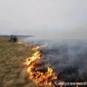 В Башкирии не допустили пожаров на полях