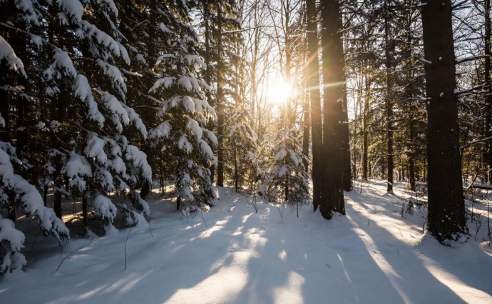 На севере Сахалина -29, а на Курилах - плюсовая температура: прогноз погоды для Сахалинской области