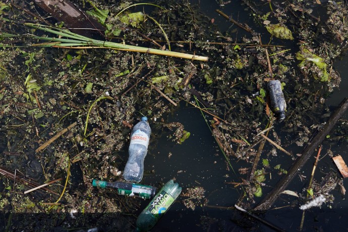 Суру не могут расчистить быстро: в пензенском минлесхозе объяснили, в чем проблема Суру не могут расчистить быстро: в пензенском минлесхозе объяснили, в чем проблема