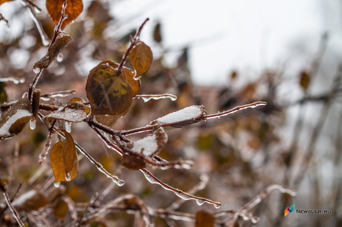 В Кирове и области ожидаются дожди со снегом и гололедица В Кирове и области ожидаются дожди со снегом и гололедица