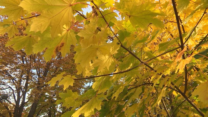 Александр Беглов: Новые сады и парки в плотной застройке центра – важная часть зелёного каркаса Петербурга Александр Беглов: Новые сады и парки в плотной застройке центра – важная часть зелёного каркаса Петербурга