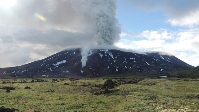 Вулкан Крашенинникова на Камчатке выбросил столб пепла Вулкан Крашенинникова на Камчатке выбросил столб пепла