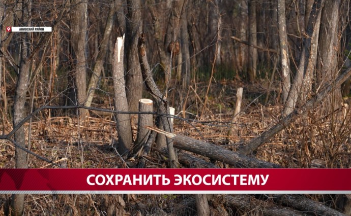 Браконьеры испоганили берег реки в Анивском районе Браконьеры испоганили берег реки в Анивском районе