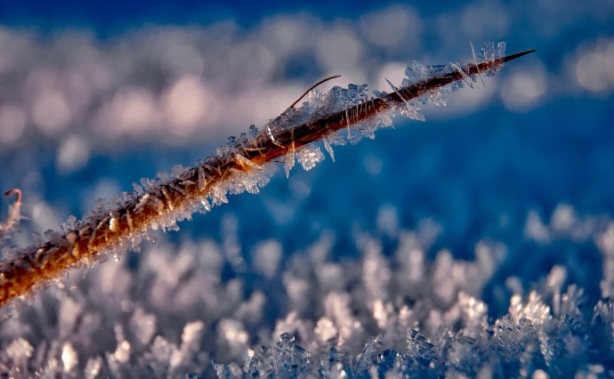 Мороз до -31 градуса зафиксировали в одном из районов Сахалина Мороз до -31 градуса зафиксировали в одном из районов Сахалина