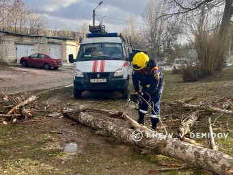 В Белгороде ликвидируют последствия непогоды