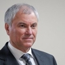 Володин: усилена защита граждан от необоснованных международных преследований