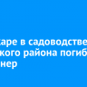 На пожаре в садоводстве Иркутского района погиб пенсионер