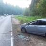 В результате съезда в кювет в Ярославской области пострадали два человека