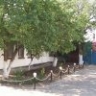 Стрельба и потасовка с охраной: астраханец умер после драки в торговом центре Питера