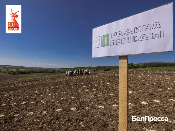 В Белгородской области народный подвиг в Великой Отечественной увековечили в геоглифе