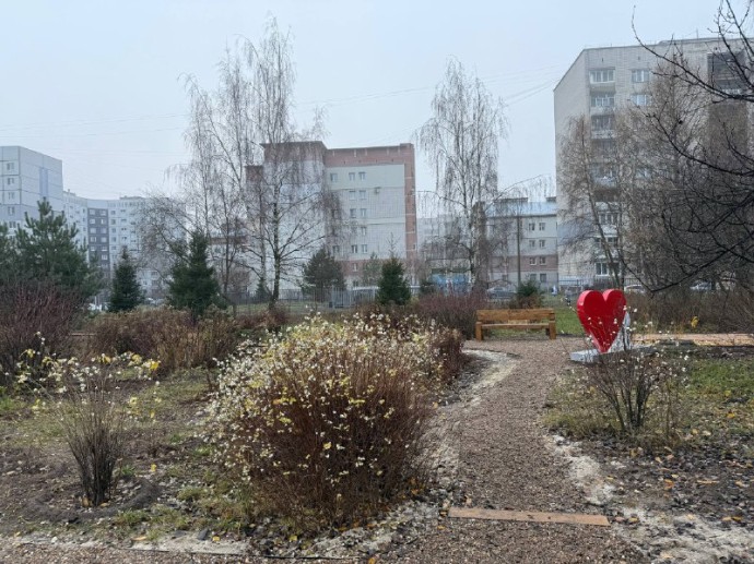 В Ярославле благодаря победе школы №68 во всероссийской олимпиаде создали экотропу В Ярославле благодаря победе школы №68 во всероссийской олимпиаде создали экотропу