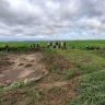 В Приамурье исследуют древнее поселение