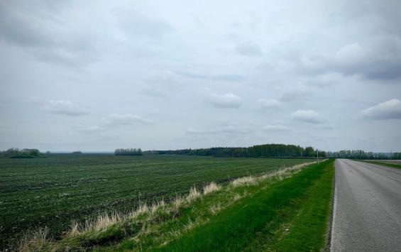 В Курской области в 2026 году продолжат обновление трассы Курск — Касторное