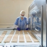 Столичная продукция укрепляет позиции на мировом рынке продуктов здорового питания