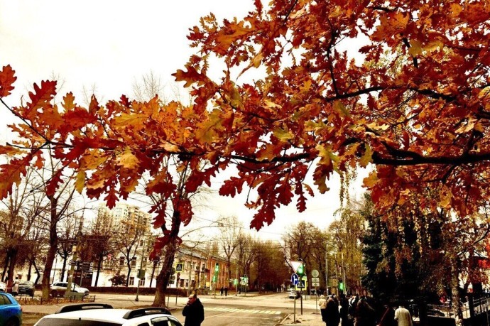 В пятницу температура воздуха в Воронежской области будет не ниже 5 градусов В пятницу температура воздуха в Воронежской области будет не ниже 5 градусов