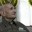 Астраханского ветерана поздравили с 98-летием парадом под окнами дома