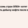 Reuters: семь стран ОПЕК+ хотят увеличить добычу нефти после выхода ОАЭ