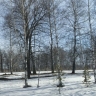 В Башкирию продолжает наступать весеннее тепло