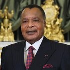 29 апреля состоятся переговоры Президента России с Президентом Республики Конго