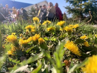 В Бурятии местами кратковременные дожди