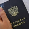 Названы сферы в России, где легче всего трудоустроиться без опыта