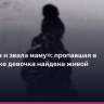 В Смоленске нашли живой девочку, пропавшую на прогулке с собакой
