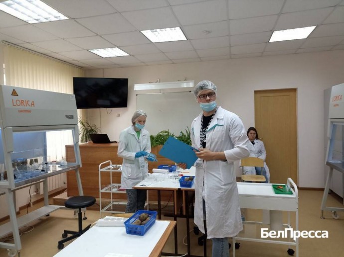 В Белгородской области открыто 8,5 тысячи бюджетных мест в техникумы и колледжи