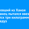 Прилетевший из Ханоя иностранец пытался ввезти в Иркутск три килограмма мяса медуз