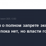 Решения о полном запрете экспорта бензина пока нет, но власти готовы к нему