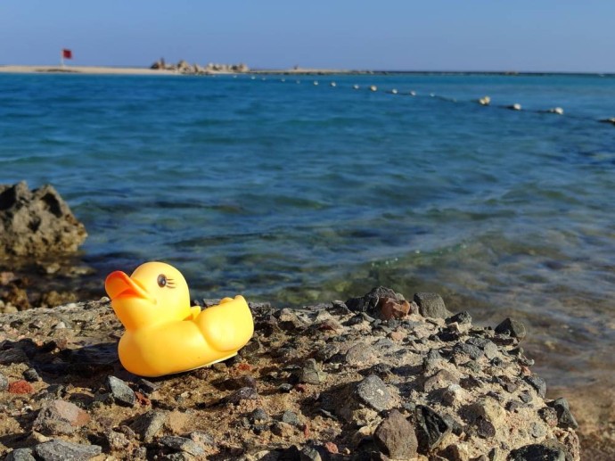 Египетская авиакомпания прекратила чартерные рейсы из Перми в Шарм-эш-Шейх Египетская авиакомпания прекратила чартерные рейсы из Перми в Шарм-эш-Шейх