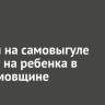Алабаи на самовыгуле напали на ребенка в Максимовщине