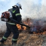 В России потушили 45 природных пожаров за сутки