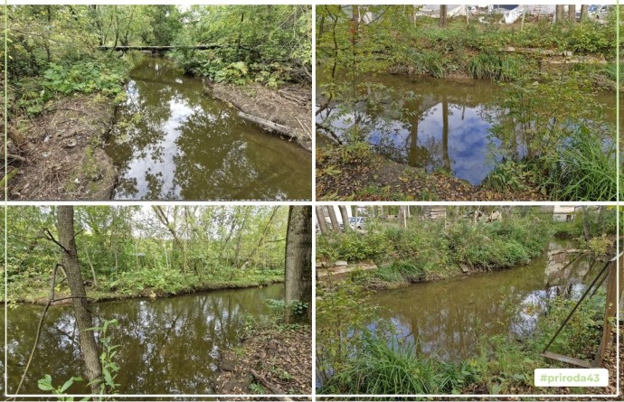 В Кирове проверили сообщение о мертвой рыбе в Хлыновке В Кирове проверили сообщение о мертвой рыбе в Хлыновке