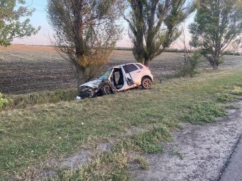 В Ровеньском районе автомобиль вылетел с дороги и врезался в дерево