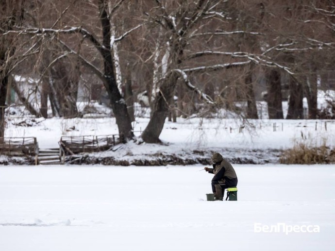 В Белгородской области на треть сократилось число погибших на воде В Белгородской области на треть сократилось число погибших на воде