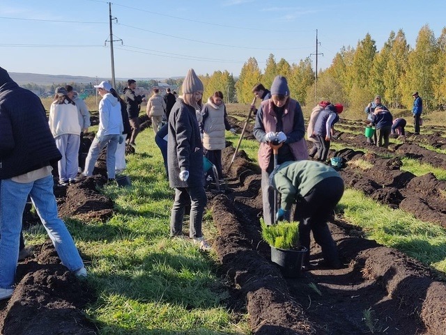 В каких экологических акциях могут поучаствовать жители Башкирии
