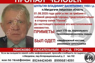 В Амурской области пропал пожилой грибник
