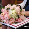 Владимир Путин объявил благодарность пяти белгородкам за добросовестный труд