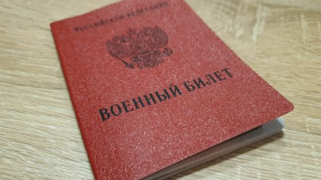 Госдума приняла поправку о предельном сроке явки в военкомат по электронной повестке