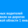 46 пьяных водителей остановили на дорогах Иркутской области 1 января