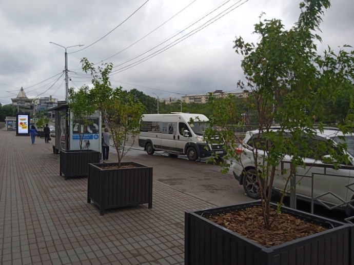 В центре Улан-Удэ установили мобильную зелёную зону
