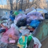 Жителям воронежского поселка вернут деньги за нерегулярный вывоз мусора