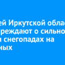 Жителей Иркутской области предупреждают о сильном ветре и снегопадах на выходных
