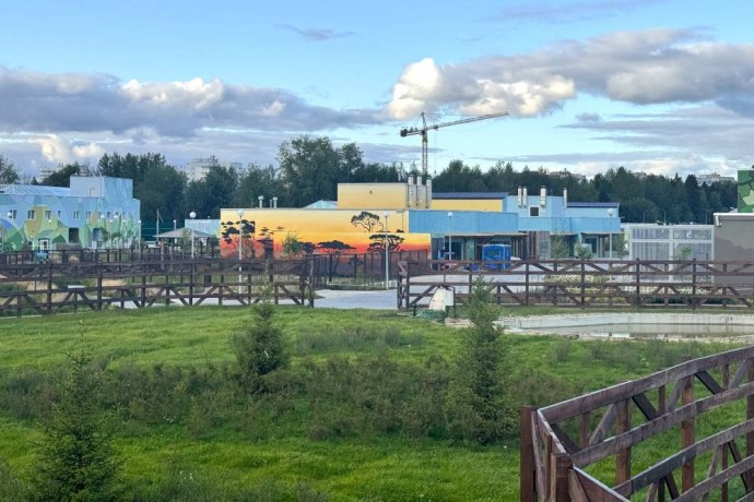 В Пермском зоопарке построят вольер для жирафов и зебр