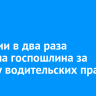 В России в два раза выросла госпошлина за выдачу водительских прав