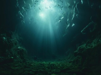 Глубоководная добыча сократила численность фауны на 37% — Nature Ecology & Evolution