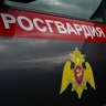 На одном из пляжей Пензы задержали мужчину, представлявшего опасность для окружающих