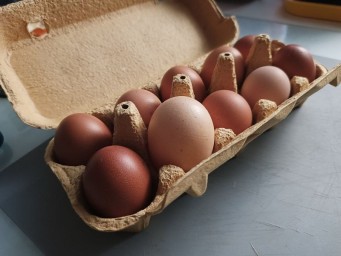 В Пензенской области подешевели некоторые продукты