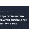 Температура около нормы прогнозируется практически на всей территории РФ в мае