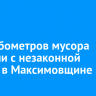 100 кубометров мусора вывезли с незаконной свалки в Максимовщине